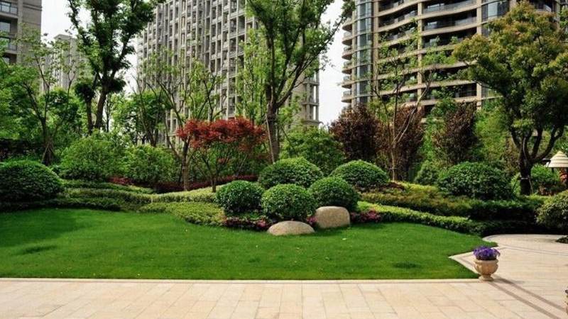 英超积分榜怎么看才不迷糊?弄懂规则与查询方法