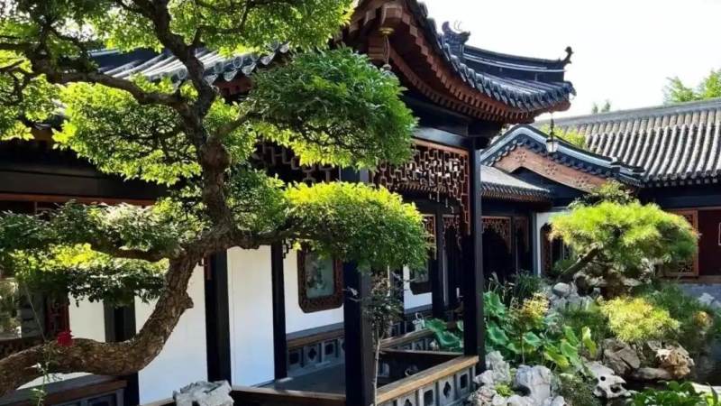 球速体育篮球直播专题的数据统计页面示意